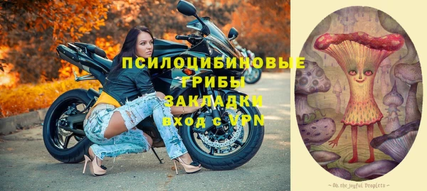 СК Аркадак