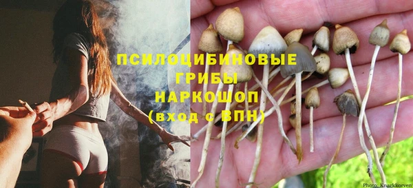 гидропоника Балабаново